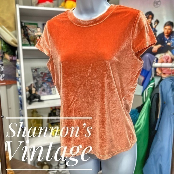 Madewell Tops - Madewell sz small velour top A19